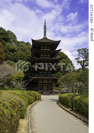 山口　山口市　瑠璃光寺　五重塔 48545120