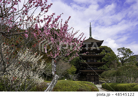 山口　山口市　瑠璃光寺　五重塔 48545122