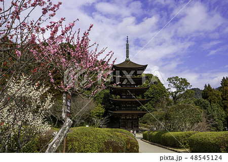山口　山口市　瑠璃光寺　五重塔 48545124