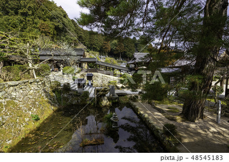 山口 山口市 瑠璃光寺 境内 放生池 山口 山口市 瑠璃光寺 境内 放生池 48545183