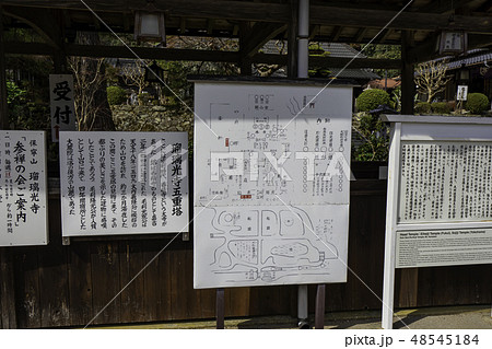 山口　山口市　瑠璃光寺　境内案内　看板 48545184