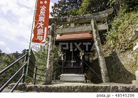 山口 山口市 瑠璃光寺 金毘羅大権現 山口 山口市 瑠璃光寺 金毘羅大権現 48545206