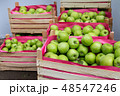 green apples in a wooden box 48547246