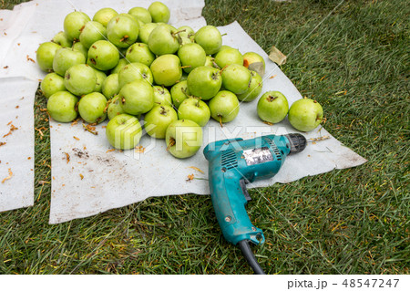 green apples and a screwdriver green apples and a screwdriver 48547247