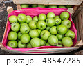 green apples in a wooden box 48547285