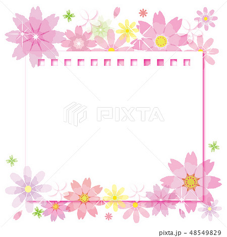 コスモスの花のフレーム 背景 正方形 ストライプ ノートのイラスト素材