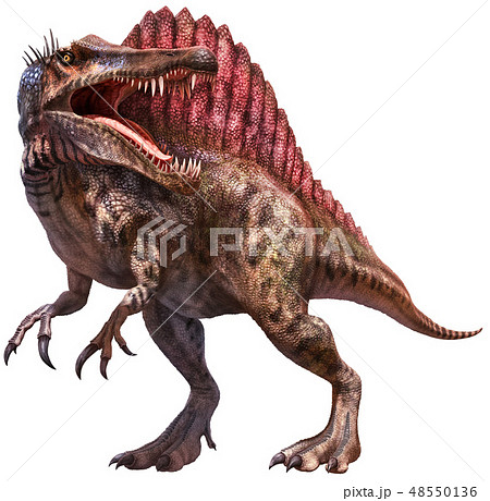 Spinosaurus 3d Illustration のイラスト素材