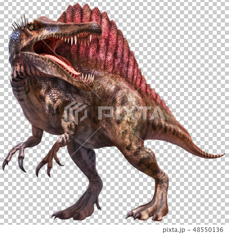 Spinosaurus  3D illustration  48550136