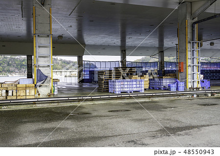 山口　萩　萩漁港　山口はぎ水産物地方卸売市場 48550943