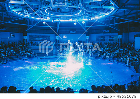 品川 アクアパーク イルカショー 品川 アクアパーク イルカショー 48551078