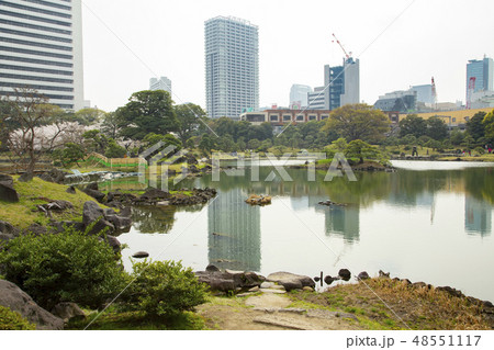 旧芝離宮恩賜庭園 48551117