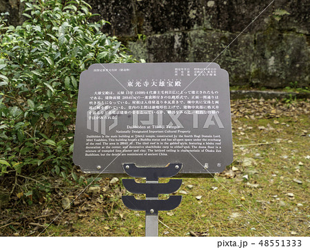 山口　萩　東光寺　大雄宝殿 48551333