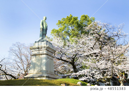 北の丸公園周辺の風景 48551383