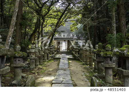 山口 萩 東光寺 霊廟 廟所 山口 萩 東光寺 霊廟 廟所 48551403