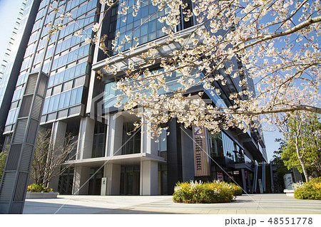 飯田橋サクラテラス 48551778