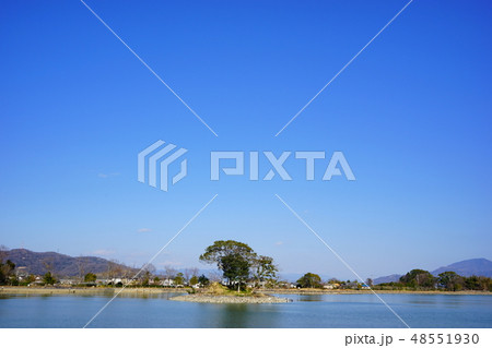 平池緑地公園 和歌山県 48551930