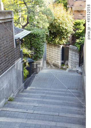 神楽坂の路地裏（兵庫横丁） 48552058