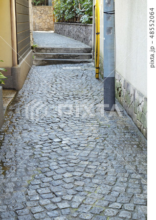 神楽坂の路地裏（兵庫横丁） 48552064