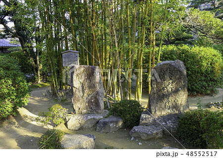 山口　萩　松陰神社　孝行竹　天皇皇后行幸碑 48552517