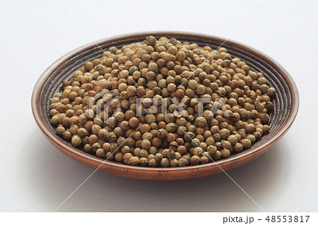 《ハーブ》 コリアンダーシード 《ハーブ》 コリアンダーシード 48553817