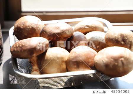 短時間、しいたけの天日干し 48554002