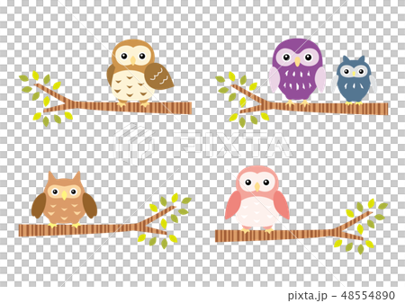 An owl stopping in a tree 48554890