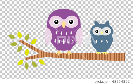An owl stopping in a tree An owl stopping in a tree 48554892