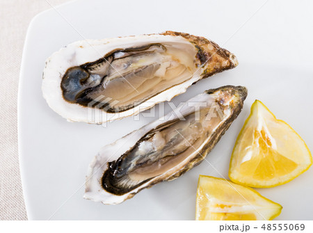 Tasty oysters with lemon on plate top view Tasty oysters with lemon on plate top view 48555069