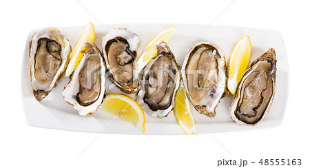 Oysters with lemon on plate Oysters with lemon on plate 48555163