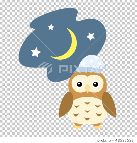 Good night owl 48555558