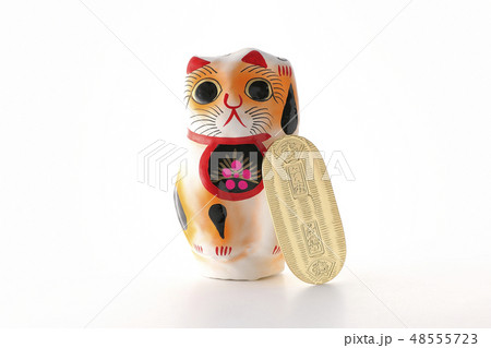 猫と小判 48555723