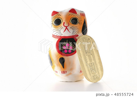 猫と小判 48555724