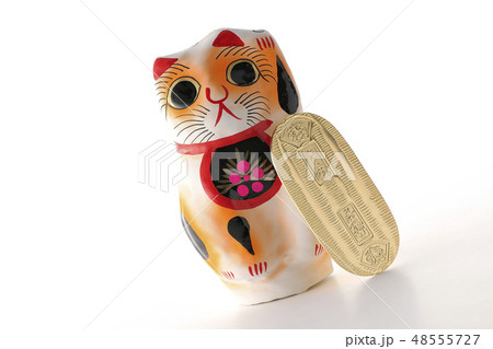 猫と小判 猫と小判 48555727
