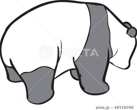 パンダ クマ 哺乳動物 48556096