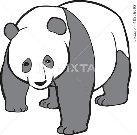 パンダ 動物 クマのイラスト素材