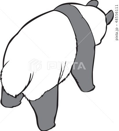 パンダ クマ 哺乳動物 48556111