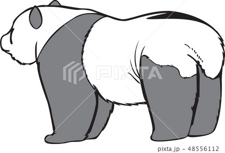 パンダ クマ 哺乳動物 48556112