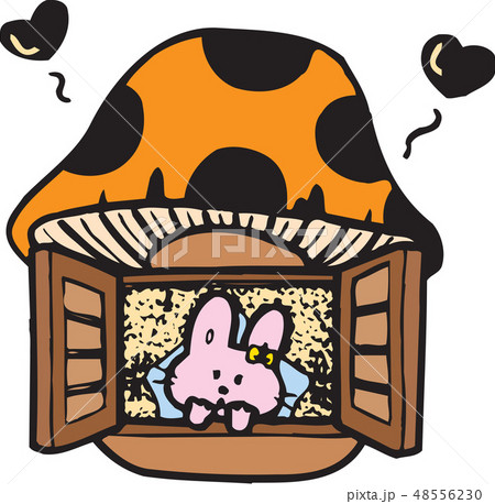 ウサギ 動物 家 48556230