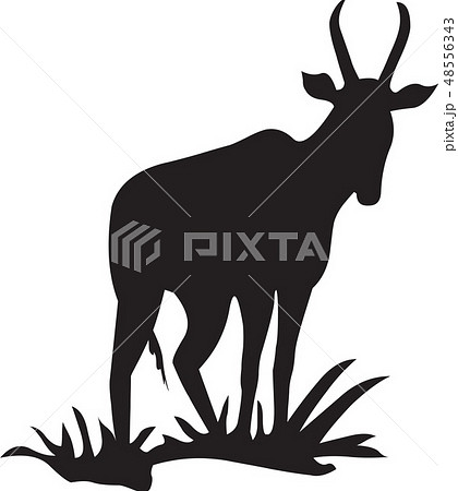 鹿 動物 影のイラスト素材