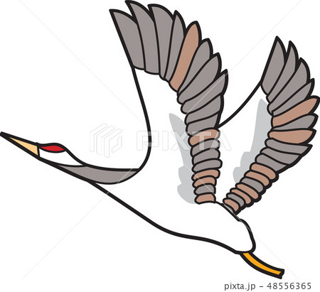 新しい 鳥 ガチョウ 48556365