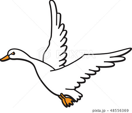 鳥 白鳥 飛ぶのイラスト素材 48556369 Pixta
