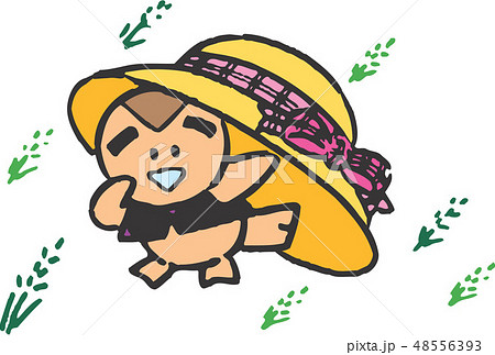 新しい 鳥 カラス 48556393