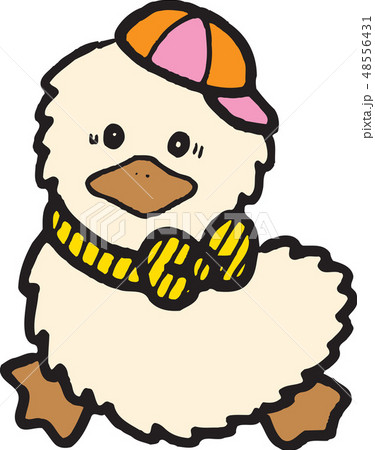 新しい 鳥 アヒル 48556431