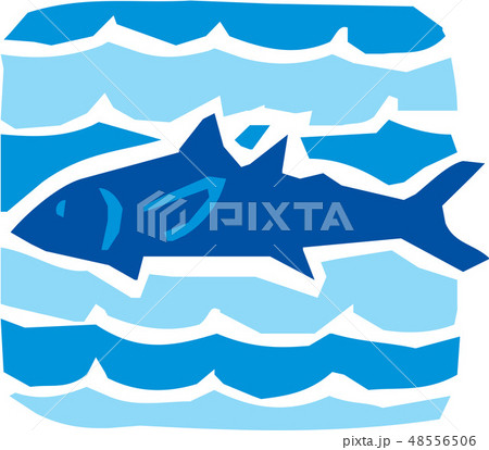 魚 魚類 水 48556506