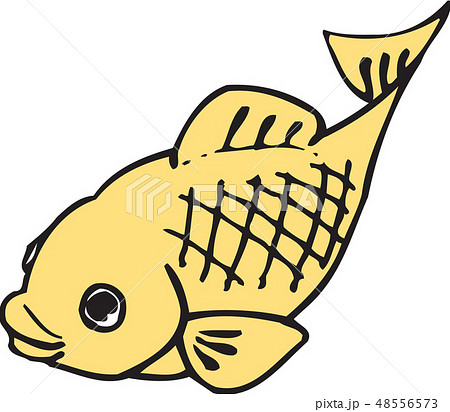 魚 魚類 尾 48556573