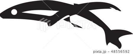 魚 魚類 マグロ 48556592