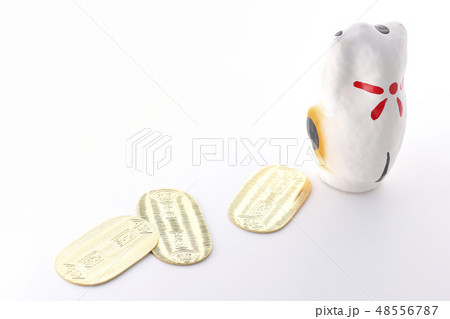 猫に小判 48556787