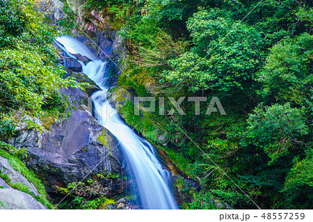 見返りの滝 【佐賀県唐津市】 見返りの滝 【佐賀県唐津市】 48557259