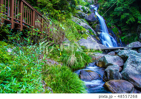 見返りの滝 【佐賀県唐津市】 見返りの滝 【佐賀県唐津市】 48557268