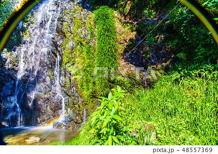 清水の滝 【佐賀県小城市】 清水の滝 【佐賀県小城市】 48557369